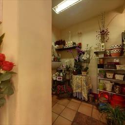 Virtual tour Flores Pili Arapiles Madrid