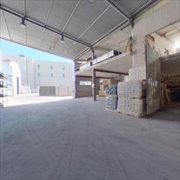 Virtual tour Gomila Gost - Gomila Gost Palma