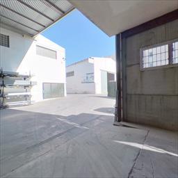 Virtual tour Gomila Gost - Gomila Gost Palma