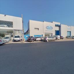Virtual tour Gomila Gost - Gomila Gost Palma