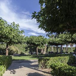Virtual tour El Lebrel Pedrola